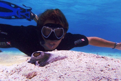 Snorkeling en Guadeloupe