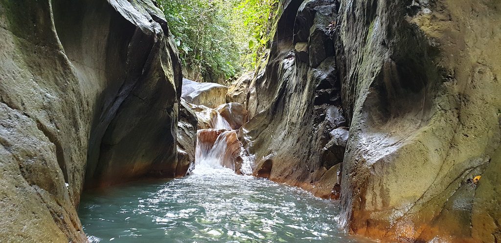 Randonnée Pointe-Noire Guadeloupe